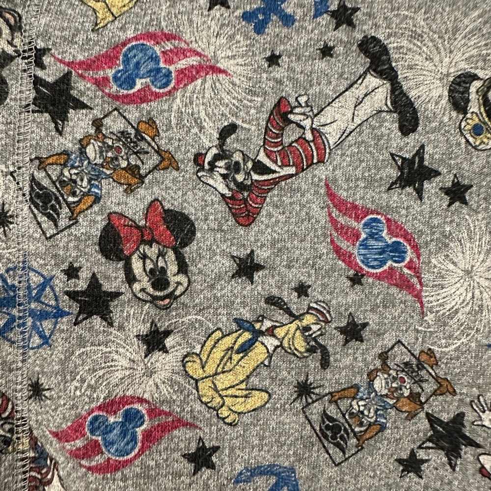 Disney Character XL Zip front hoodie - Disney Cruise Lines (DCL) - EUC